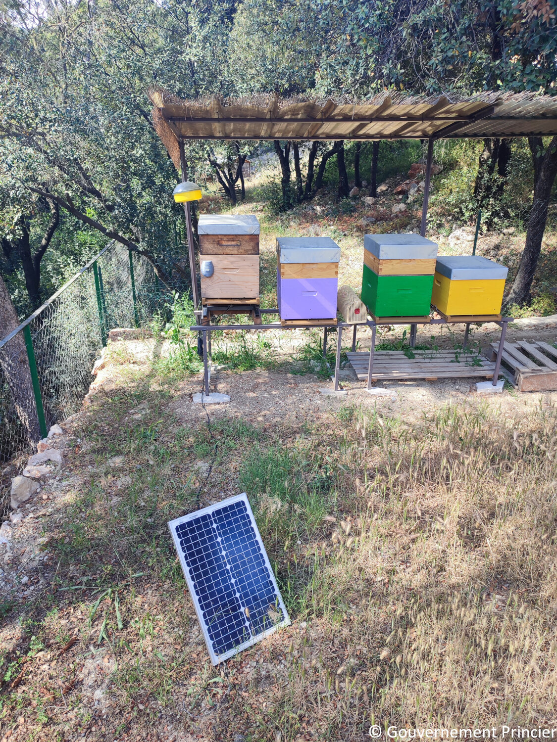 Installation de la ruche connectée à La Turbie