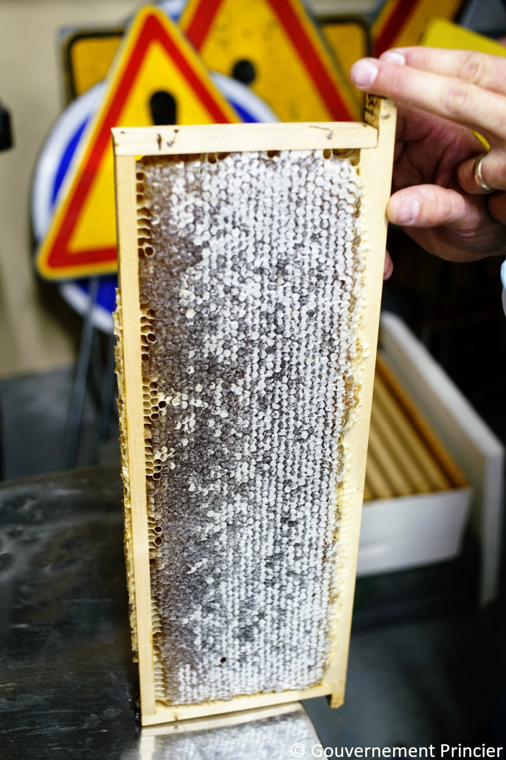 Alvéoles operculés et contenant du miel
