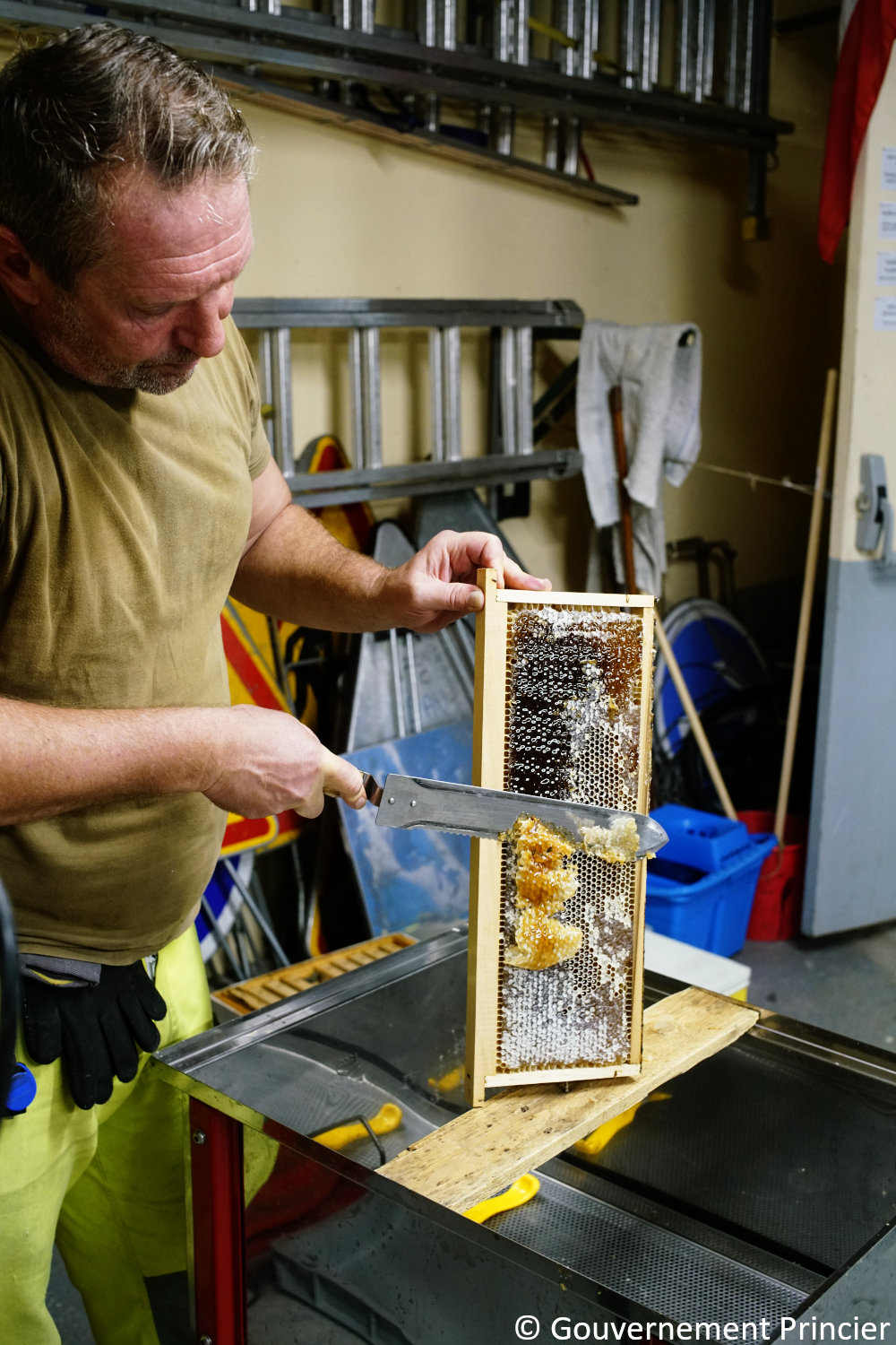 Première étape : râcler les cadres pour retirer les opercules et récupérer une partie du miel
