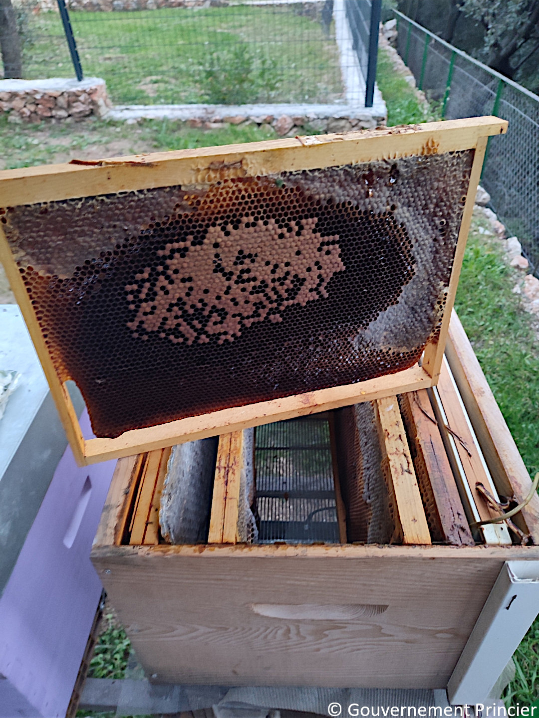 Ruche connectée de La Turbie abandonnée par les abeilles